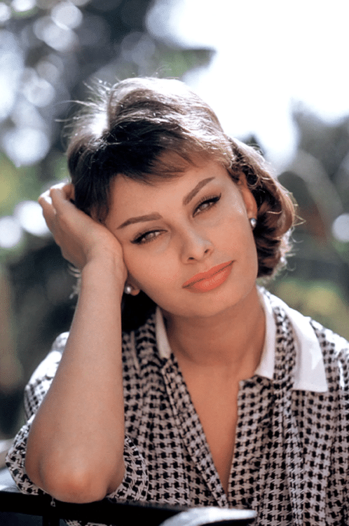 Sophia Loren - Actress