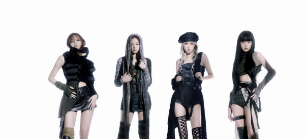 BLACKPINK and BLINKs BLACKPINK and BLINKs