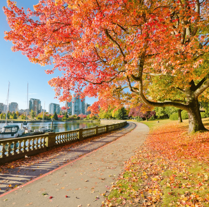 Canada Canada