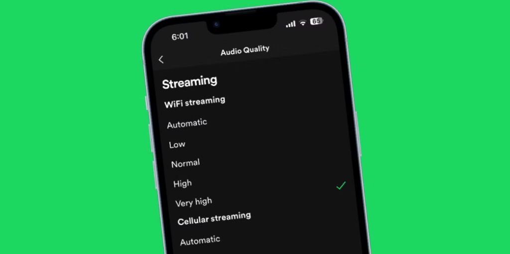 Device Compatibility and Accessibility