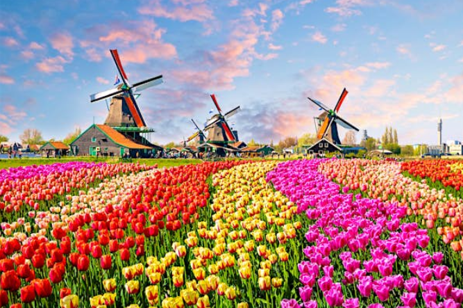 Netherlands Netherlands